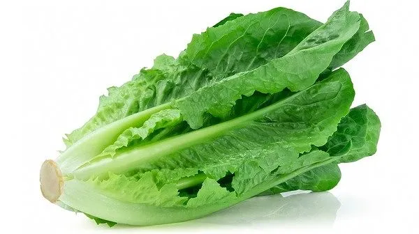 Romaine Lettuce (Each)