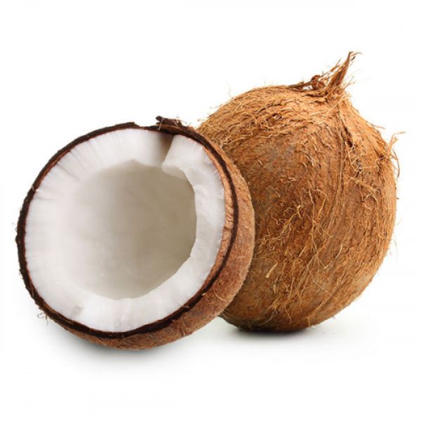 Coconut Large