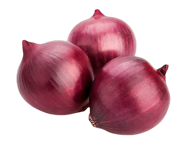 RED ONION BAG 10LB