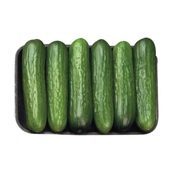 Mini Cucumber (Each)