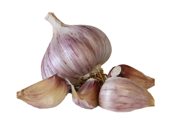 Garlic Desi