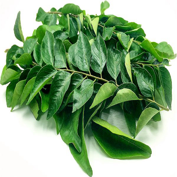 Curry Leaves Bunch (Karipatha) Each