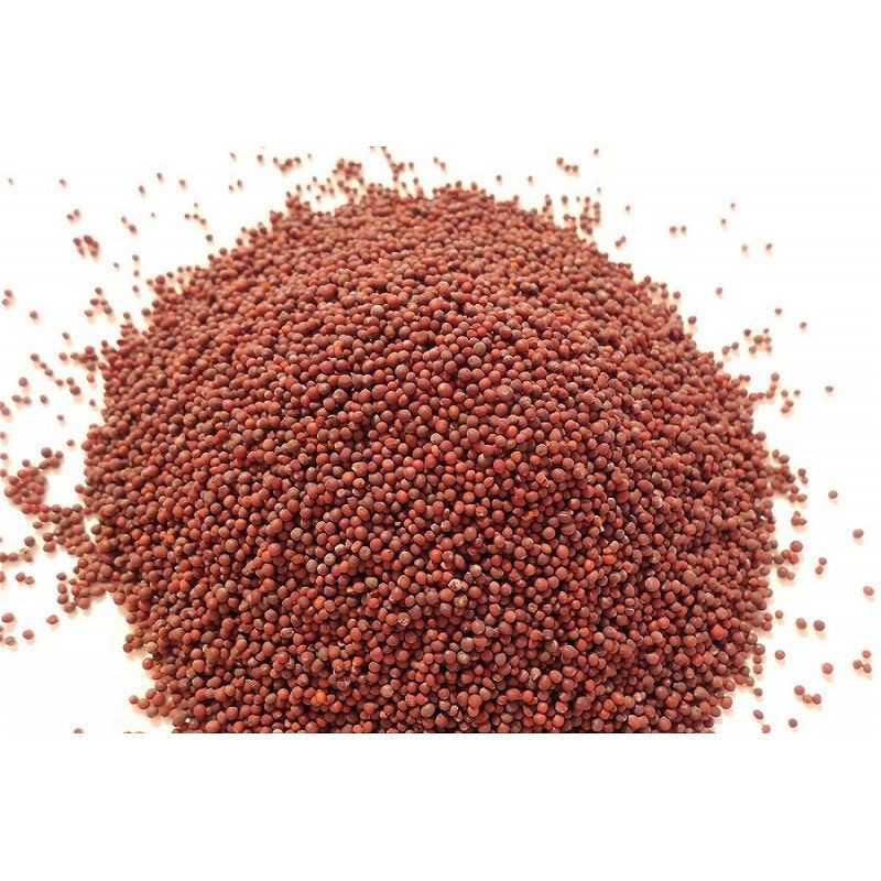 Handi Mustard (Rai) Seeds Brown 200g