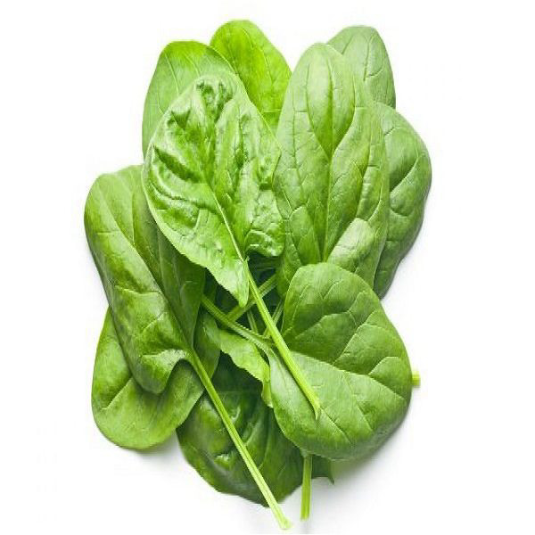 Baby Spinach 11 Oz.   Pack