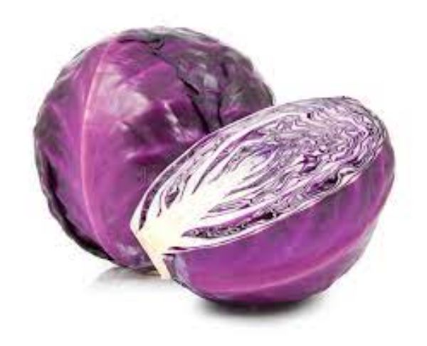 Cabbage Red