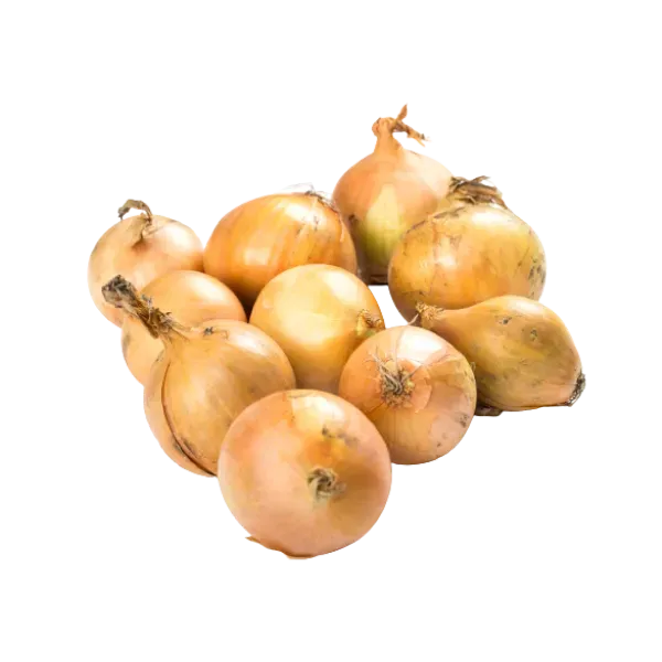 YELLOW ONION (10LB)